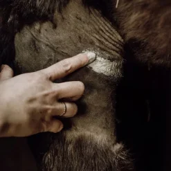 NELLUMBO Cataplasme Argile réparateur cheval -< Désinfectant Et Cicatrisant Cheval|Produits Gale De Boue Et Crevasses Cheval