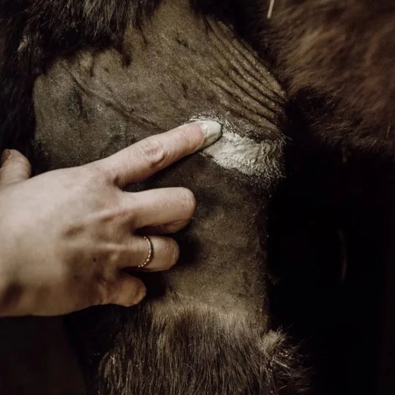 NELLUMBO Cataplasme Argile réparateur cheval -< Désinfectant Et Cicatrisant Cheval|Produits Gale De Boue Et Crevasses Cheval