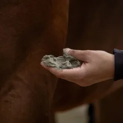 NELLUMBO Cataplasme d'argile cheval Drainage & Détox -< Argile Cheval