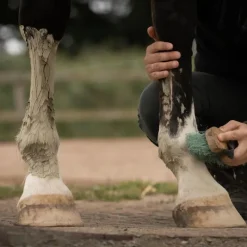 NELLUMBO Cataplasme d'argile cheval Drainage & Détox -< Argile Cheval