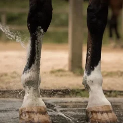 NELLUMBO Cataplasme d'argile cheval Drainage & Détox -< Argile Cheval