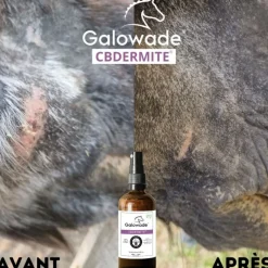 GALOWADE CBDERMITE Huile apaisante démangeaisons cheval 10% -< Dermite Estivale Cheval|Dermite Estivale Cheval