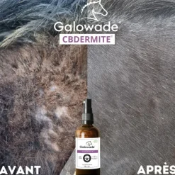 GALOWADE CBDERMITE Huile apaisante démangeaisons cheval 10% -< Dermite Estivale Cheval|Dermite Estivale Cheval