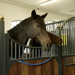 STABLE PRO Chaine de box/porte couverture cheval gainé plastique< Equipement Concours|Matériel D'Écurie