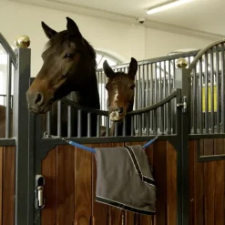 STABLE PRO Chaine de box/porte couverture cheval gainé plastique< Equipement Concours|Matériel D'Écurie