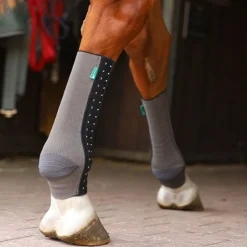 EQUICROWN Chaussette de compression cheval Fit Silver -< Protections Thérapeutiques Chevaux