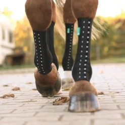 EQUICROWN Chaussette de contention cheval Fit Compression crochets -< Protections Thérapeutiques Chevaux
