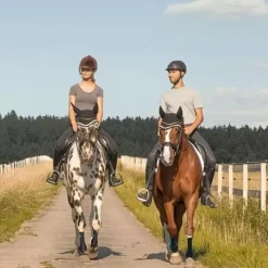 EQUICROWN Chaussette de contention cheval Active Compression zip -< Protections Thérapeutiques Chevaux|Protections De Repos