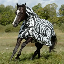 BUCAS Chemise anti-dermite cheval Sweet Itch -< Masque Et Couverture Anti-Uv Cheval|Dermite Estivale Cheval