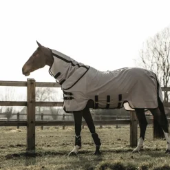 KENTUCKY HORSEWEAR Chemise anti-mouche cheval Mesh - Kentucky< Couvertures Anti-Mouche Cheval|Couvertures Anti-Mouche Cheval