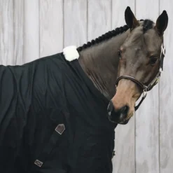 KENTUCKY HORSEWEAR Chemise cheval en coton - Kentucky< Chemises D'Écurie