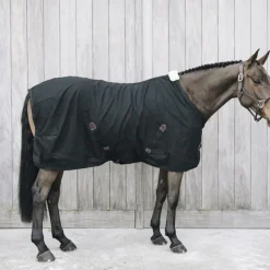 KENTUCKY HORSEWEAR Chemise cheval en coton - Kentucky< Chemises D'Écurie