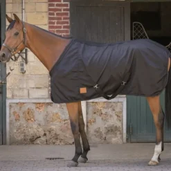 PADDOCK SPORTS Chemise écurie cheval Light Mesh -< Chemises D'Écurie