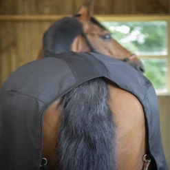 PADDOCK SPORTS Chemise écurie cheval Light Mesh -< Chemises D'Écurie
