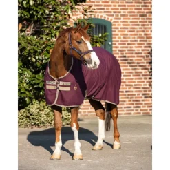 HORSEWARE Chemise écurie transport cheval Amigo Stable -< Chemises D'Écurie