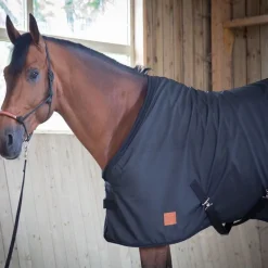 PADDOCK SPORTS Chemise d'écurie cheval Ripstop -< Chemises D'Écurie