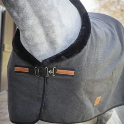 PADDOCK SPORTS Chemise de présentation cheval Wooltouch -< Chemises D'Écurie|Couvertures De Box