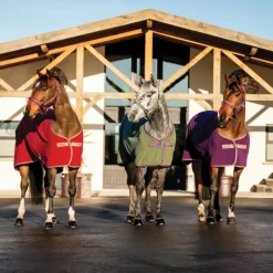 HORSEWARE Chemise polaire cheval Amigo Fleece Cooler -< Chemises D'Écurie