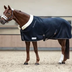 WALDHAUSEN Chemise polaire cheval Modern Rosé -< Chemises D'Écurie