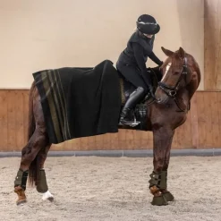 WALDHAUSEN Chemise polaire cheval Sölden -< Chemises D'Écurie