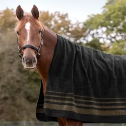 WALDHAUSEN Chemise polaire cheval Sölden -< Chemises D'Écurie