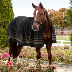 WALDHAUSEN Chemise polaire cheval Sölden -< Chemises D'Écurie