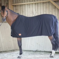PADDOCK SPORTS Chemise séchante cheval -< Chemises D'Écurie