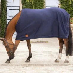 PADDOCK SPORTS Chemise séchante cheval -< Chemises D'Écurie