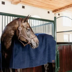 KENTUCKY HORSEWEAR Chemise séchante cheval carré Heavy - Kentucky< Chemises D'Écurie