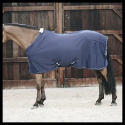 KENTUCKY HORSEWEAR Chemise séchante cheval polaire - Kentucky< Chemises D'Écurie