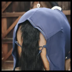 KENTUCKY HORSEWEAR Chemise séchante cheval polaire - Kentucky< Chemises D'Écurie