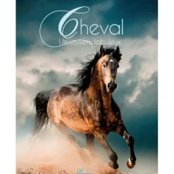 EQUIBOOKS Cheval - Un univers fabuleux - Artémis< Librairie Equibooks