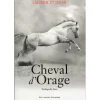 EQUIBOOKS Cheval d'orage Tome 3 - Gallimard< Librairie Equibooks