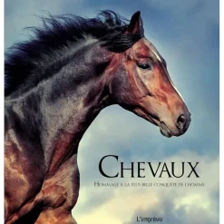 EQUIBOOKS Chevaux - Hommage à la plus belle conquête de l'homme - L'imprévu< Librairie Equibooks
