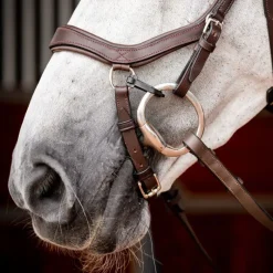 HORSEWARE Clip de mors PVC x 4 pour bridon Micklem -< Accessoires De Bridon Cheval|Mors Cheval