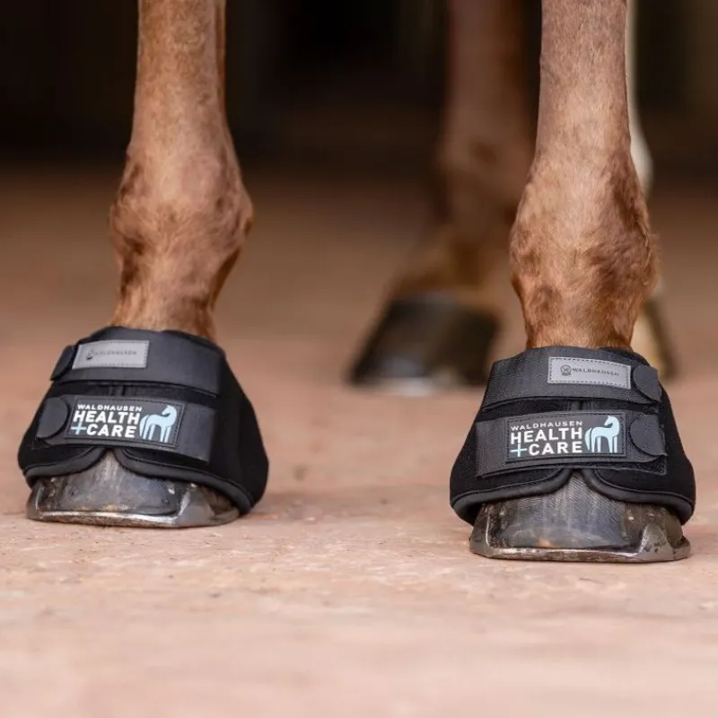 WALDHAUSEN Cloches cheval refroidissantes Health + Care -< Protections Thérapeutiques Chevaux|Cloches