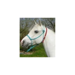 CAVALHORSE Collier anti-insecte chevaux< Piège Anti-Insecte Cheval