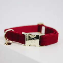 KENTUCKY DOGWEAR Collier chien Corduroy -< Colliers Et Laisses Pour Chien