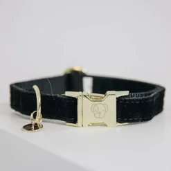 KENTUCKY DOGWEAR Collier chien Corduroy -< Colliers Et Laisses Pour Chien