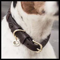 KENTUCKY DOGWEAR Collier chien motif triangle -< Colliers Et Laisses Pour Chien