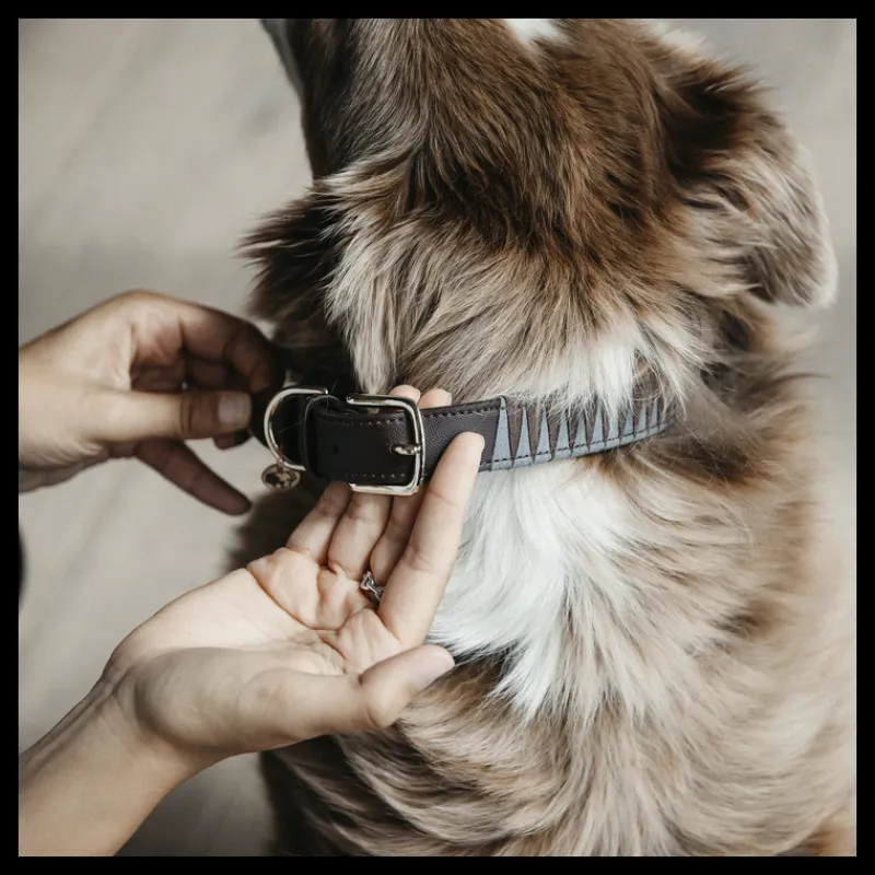 KENTUCKY DOGWEAR Collier chien motif triangle -< Colliers Et Laisses Pour Chien