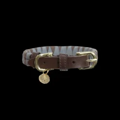 KENTUCKY DOGWEAR Collier chien motif triangle -< Colliers Et Laisses Pour Chien