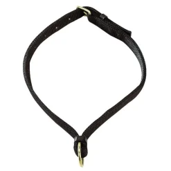 STABLE PRO Collier d'attache cheval< Equipement De Randonnée|Matériel D'Écurie