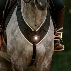 KAVALKADE Collier de chasse cheval balade et randonnée avec lampe Horselight -< Equipement De Randonnée