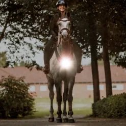 KAVALKADE Collier de chasse cheval balade et randonnée avec lampe Horselight -< Equipement De Randonnée