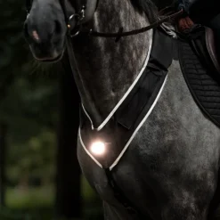 KAVALKADE Collier de chasse cheval balade et randonnée avec lampe Horselight -< Equipement De Randonnée