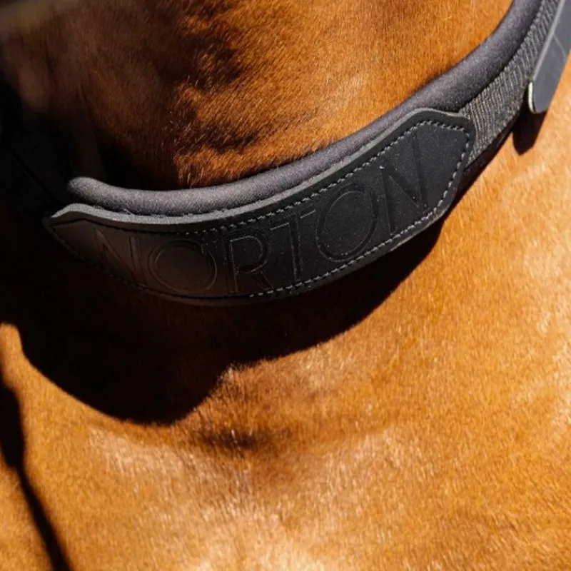 CAVALHORSE Collier de monte à cru cheval< Longes