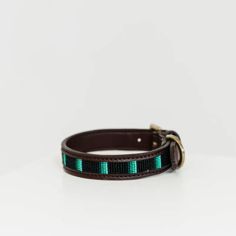 KENTUCKY DOGWEAR Collier pour chien en perles -< Colliers Et Laisses Pour Chien