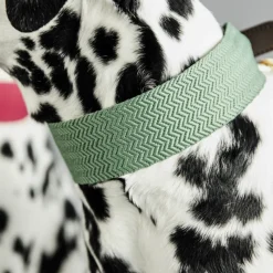 KENTUCKY DOGWEAR Collier pour chien Jacquard -< Colliers Et Laisses Pour Chien