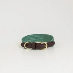 KENTUCKY DOGWEAR Collier pour chien Jacquard -< Colliers Et Laisses Pour Chien